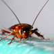 Imagen: Chaipanya / Shutterstock